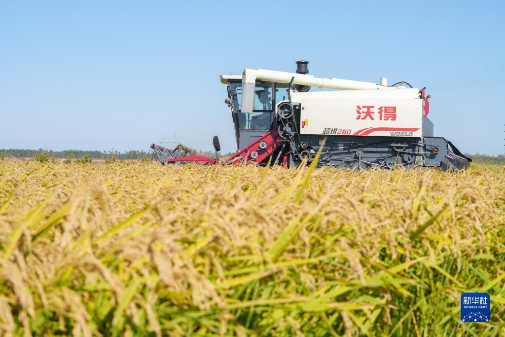 无需入金开户赠金外汇